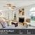 Dreams have an address: Dive into our 1 BR, 1 BA, 620 Sq Ft! 2 thumbnail