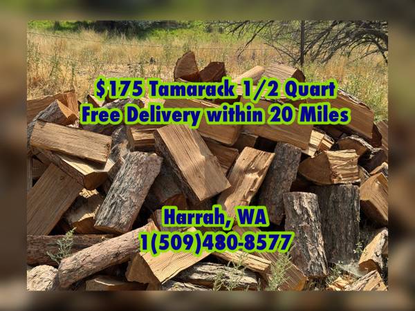 Tamarack Fire Wood 1