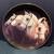 Danbury Mint Arabian Horse Decorative Plate 1 thumbnail