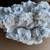 X-Large Natural Brain White Coral over 25Lb 5 thumbnail