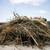 Junk removal & property restoration & clean up services 5 thumbnail