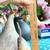 3 gourds bird houses garden decor craft supplies tree hanging home 3 thumbnail