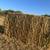 straw 4x4 3 thumbnail