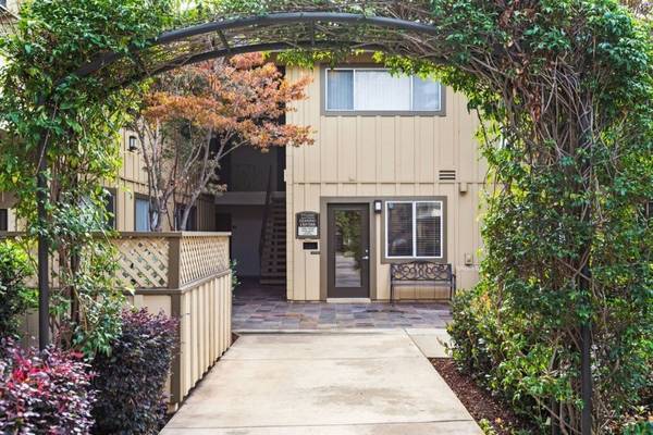 $2,595 / 516ft2 - Spacious Studio In Mountain View. (mountain view)63824144644225122