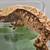 Crested geckos 1 thumbnail