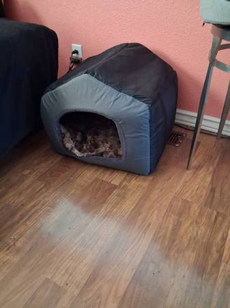 Soft Inside Pet House 1