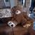 Large teddy bear 1 thumbnail