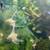 Angel Fish,  Angelfish, Fresh water 1 thumbnail