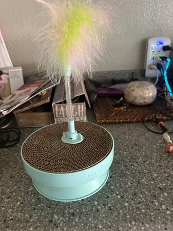 Mini Kitten Scratcher 1