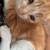 Rehoming Baby Kittens 7 thumbnail