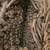 Large Macramé Camel Head 11 thumbnail