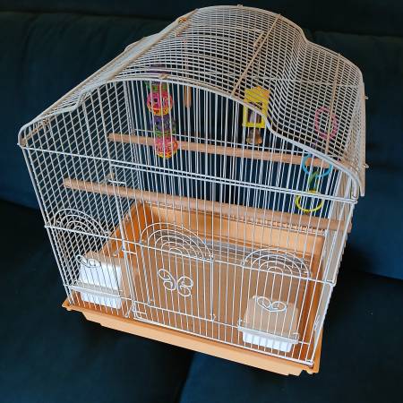 Bird Cage 1