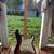 2021 Fender Player Standard Stratocaster 2 thumbnail