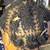 Sisterlocks 1 thumbnail