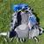 REI Passage 40 backpack 2 thumbnail