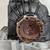 BMW 2006-2010 M5 M6 E 60 E62 E63 E64 REAR AXLE DIFFERENTIAL 6 thumbnail