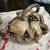 Studio Pottery 1 thumbnail