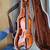 Yamaha Clarinet & Lewis Viola 6 thumbnail