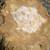 2 Kentucky Geodes, 1 open- 1 split. 10 thumbnail