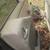 2006 nissan pathfinder rear door, passenger side 4 thumbnail