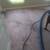Carpet cleaning/Tile and grout cleaning 6 thumbnail