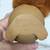 Vintage 1969 Kamar, Inc. Furry Rubber Squirrel With Bendable Tail 6 thumbnail