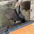 Rabbits 1 thumbnail