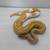 Ball Pythons 4 thumbnail