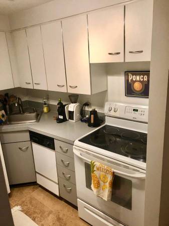 $2,199 / 1br - 600ft2 - Beautiful 1 bedroom/ 1 bathroom apartment in Adams Morgan (Adams Morgan)63822011911427123