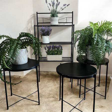 Great Plant Stands!...$20 Each 1