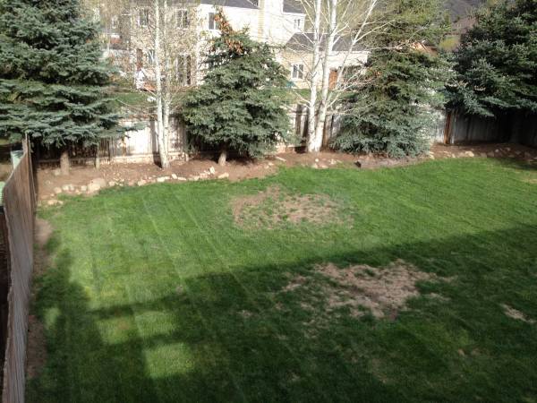 $4,200 / 4br - 2000ft2 - Park City, Prospector square house (Park City, UT)63674346566275123