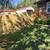 Professional remodeling serviced Flooring, Decks, Fencing ect. 22 thumbnail