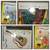Collectables N More 18 thumbnail