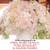 WHOLESALE WEDDING FLOWERS FLORIST 50 ROSES $39 800ROSEBIG #1 IN SOCAL! 13 thumbnail
