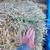 Beardless Wheat Hay - 14.5% rounds 13 thumbnail