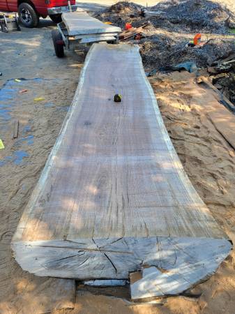 White oak slabs 1
