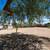 1/1 back house - Lemon Grove 1 thumbnail