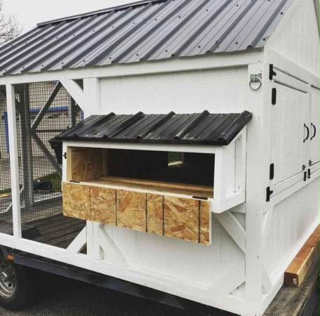Chicken Coop 1