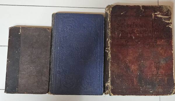 19th Century Book Bundle 1