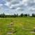 Ocean View Burial Plot – Burnaby, BC 1 thumbnail