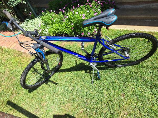 Bicycle Swinn mountain bike customized 1