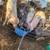 Pigs 1 thumbnail
