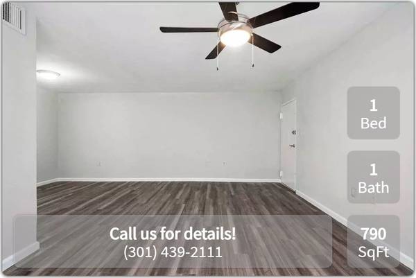 $1,075 / 1br - 790ft2 - ¡Has encontrado algo especial en Hyattsville! 1 BR x 1 BA (Hyattsville - University of Maryland)63896156225539120