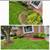 8*Miracle Work Landscaping* LLC 6 thumbnail