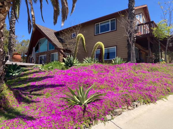 $850 / 1br - 127ft2 - Fabulous room in large country home (Valley Center)63865482088193120
