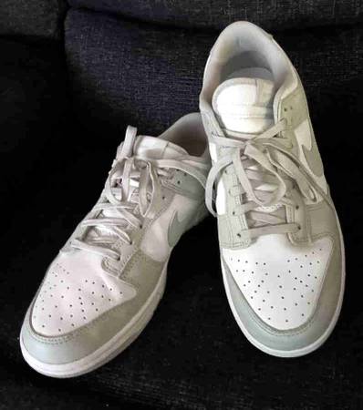 Men's Nike Dunk Low Size 11 Retro White Grey Fog DD1391-103 1