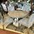 Over 80 dining sets, kitchen tables, chairs, more - NEW & Consigned! 17 thumbnail
