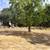Vacant buildable lot ready to build on 2 thumbnail