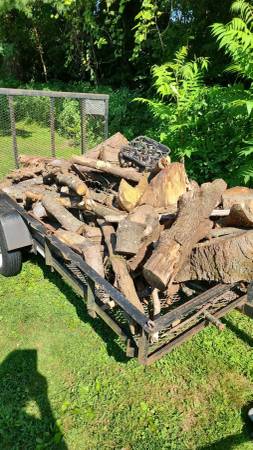Seasoned Pine Wood for Fire Pit 1