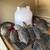 Quail 1 thumbnail